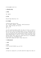 [자생식물][식물][야생식물][야생초][야생화][야생꽃][야생풀]자생식물의 분류와 별꽃, 애기메꽃, 한라산 말나리, 털중나리, 유채, 으름난초, 벌노랑이, 초종용, 꽃범의 꼬리(야생식물, 야생초, 야생화, 야생꽃)-5