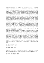 [정보공개제도][정보공개]정보공개제도의 탄생, 정보공개제도의 필요성, 정보공개제도의 시행노력과 정보공개제도의 제정, 주요내용 및 정보공개제도의 문제점 그리고 향후 정보공개제도의 개선 방향 분석-4