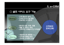 [인터넷] 인터넷 고객 관계 관리와e-CRM-19