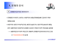 [소비자행동론] 소비자행동론-6