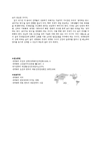 [행정학] 글로벌시대의 국가발전전략-11