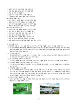 [외식산업, 외식경영, 프랜차이즈경영론, 원가관리론, 경영학개론] 프랜차이즈 기업 성공사례(퓨전선술집-7