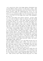[정치경제] 다국적기업의 정치경제-6