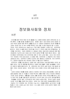 [정치경제] 정보화사회와 정치-2