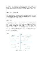 [경영학] [브랜드마케팅]이통통신 3G서비스 시장에서의 KTF `SHOW`와 SKT ‘T` 브랜드 마케팅 비교분석(A+리포트)-18