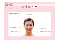 [피부미용, 건강, 파이토케미컬] 파이토케미컬, 피토케미컬-4