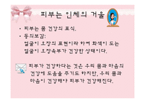 [피부미용, 건강, 파이토케미컬] 파이토케미컬, 피토케미컬-5