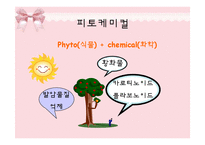 [피부미용, 건강, 파이토케미컬] 파이토케미컬, 피토케미컬-8