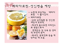[피부미용, 건강, 파이토케미컬] 파이토케미컬, 피토케미컬-10