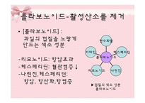 [피부미용, 건강, 파이토케미컬] 파이토케미컬, 피토케미컬-11