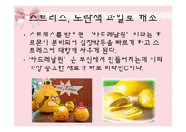 [피부미용, 건강, 파이토케미컬] 파이토케미컬, 피토케미컬-15