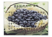 [피부미용, 건강, 파이토케미컬] 파이토케미컬, 피토케미컬-16