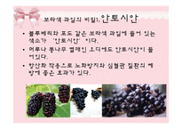[피부미용, 건강, 파이토케미컬] 파이토케미컬, 피토케미컬-17