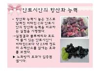 [피부미용, 건강, 파이토케미컬] 파이토케미컬, 피토케미컬-18