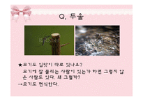 [피부미용, 건강, 파이토케미컬] 파이토케미컬, 피토케미컬-20