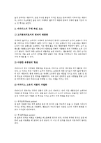 [리바이스, 리바이스청바지, 리바이스브랜드파워, 리바이스컨셉, 리바이스구매전략] 리바이스의 브랜드파워와 리바이스의 역사 및 리바이스의 컨셉 그리고 리바이스의 구매 전략 심층 분석-6