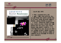 [호텔경영, 경영학개론] 르네상스 호텔소개 및 광고홍보-17
