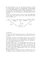 [관광업] 관광사업과 여행사업에 대하여-2