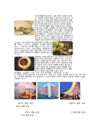 홀텐산업 레포트-11