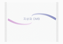 [DMB] 위성 DMB 와 지상파 DMB-13