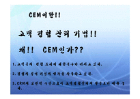 [경영정보론] [경영정보론] CEM은 무엇인가?-3