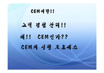 [경영정보론] [경영정보론] CEM은 무엇인가?-4