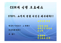[경영정보론] [경영정보론] CEM은 무엇인가?-5