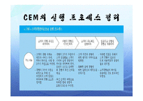 [경영정보론] [경영정보론] CEM은 무엇인가?-9