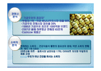 [역 발상 마케팅] 역발상마케팅`바나나는원래하얗다`.-8
