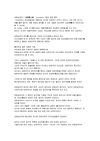 [예술사] 르네 마그리트 생애와 작품 분석-9