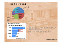 [광고기획서] 스쿨룩스 광고기획서-16