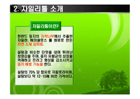 [마케팅조사] [마케팅조사]롯데 `자일리톨` 마케팅성공사례 조사(A+리포트)-4