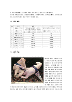 [스모] 스모 A+ 완벽정리(스모의 역사와 규칙 및 스모의 의식과 기술)-9
