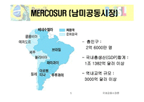 브라질현지법인의 경영성과측정-5