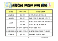 브라질현지법인의 경영성과측정-8