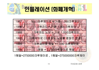 브라질현지법인의 경영성과측정-16
