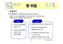 브라질현지법인의 경영성과측정-20