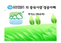 [국제경영] 유한킴벌리 하기스 중국진출사례 -하기스(하우치)-1