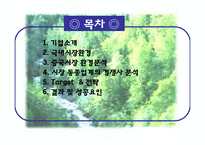 [국제경영] 유한킴벌리 하기스 중국진출사례 -하기스(하우치)-2