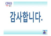 [국제마케팅] CESCO 세스코 중국시장 진출 성공 요인-20