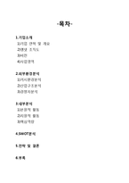 [마케팅전략] 엠넷 기업분석-2