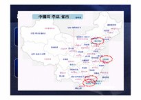[무역실무] 유한킴벌리의 중국시장 진출전략 -중국 프리미엄 기저귀 시장을 석권-11