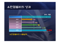 [무역실무] 유한킴벌리의 중국시장 진출전략 -중국 프리미엄 기저귀 시장을 석권-14