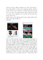 삼성PAVV 파브 광고기획서-10