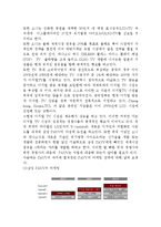 삼성PAVV 파브 광고기획서-13