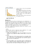 [마케팅] 싸이월드의 인터넷 마케팅-14