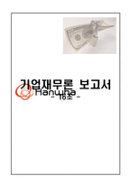 [기업재무론] 한화그룹 재무분석-1