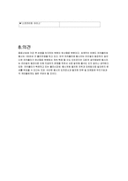 코카콜라와 펩시콜라 전략-12