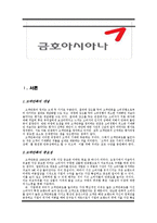 [경영학] 금호아시아나 기업의 고객 만족사례 분석-3
