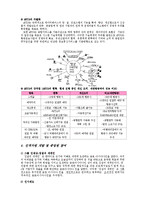 [경영학] 금호아시아나 기업의 고객 만족사례 분석-8
